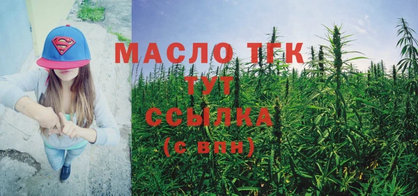дживик Тобольск