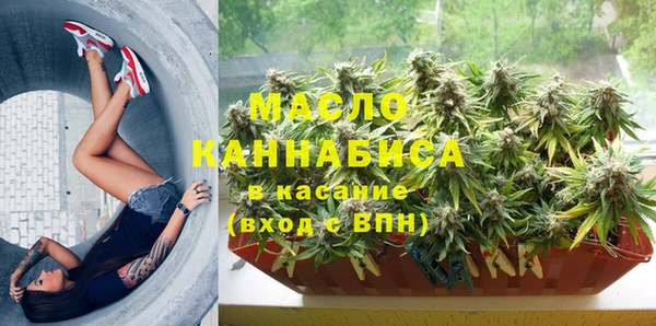 дживик Тобольск