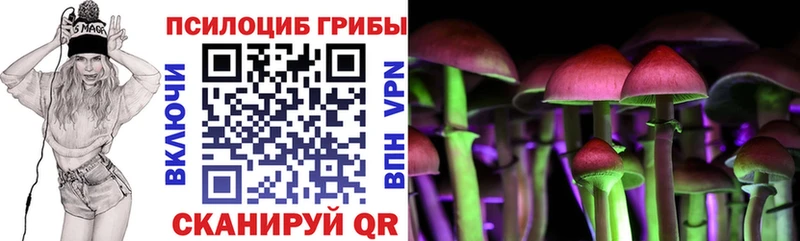Купить  Старица  Галлюциногенные грибы GOLDEN TEACHER 